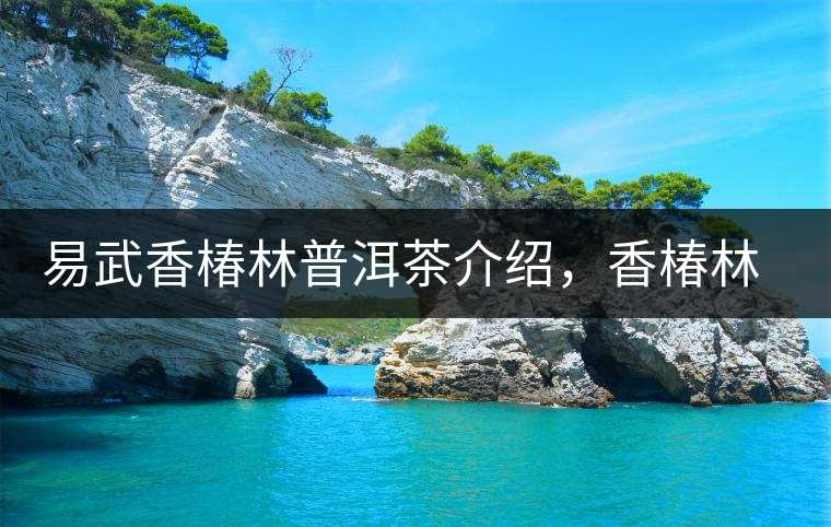 易武香椿林普洱茶介紹，香椿林古樹茶口感特點