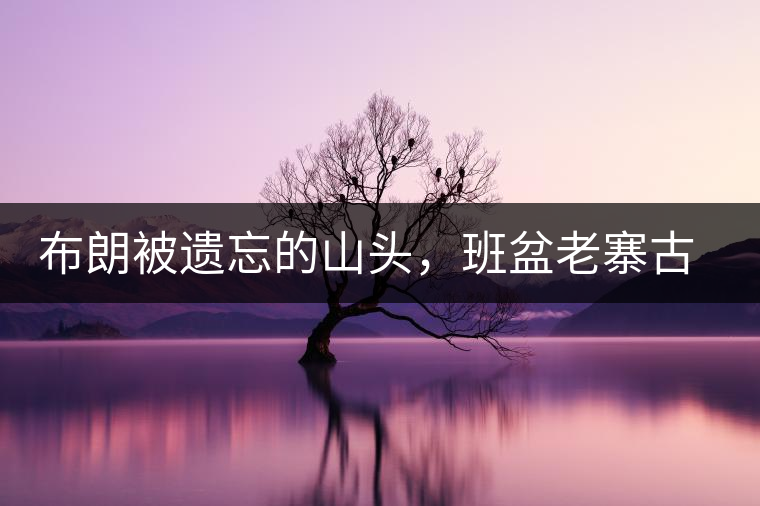 布朗被遺忘的山頭，班盆老寨古茶園介紹