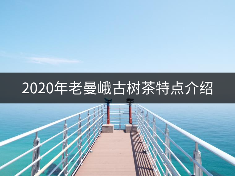 2020年老曼峨古樹茶特點介紹