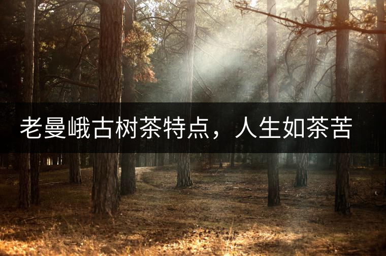 老曼峨古樹茶特點，人生如茶苦盡甘來