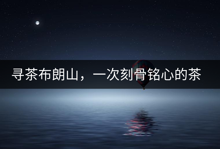 尋茶布朗山，一次刻骨銘心的茶山行