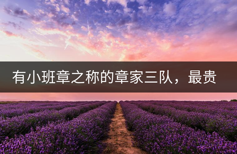 有小班章之稱的章家三隊(duì)，最貴的小樹茶