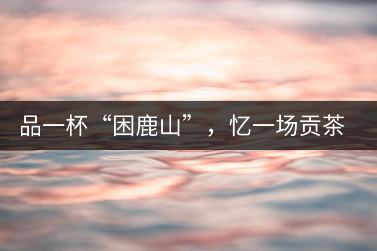 品一杯“困鹿山”，憶一場貢茶情