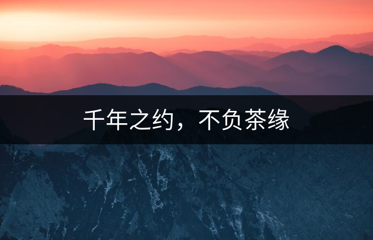 千年之約，不負茶緣