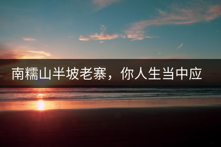 南糯山半坡老寨，你人生當中應該入手的第一片勐海味古樹純料普洱茶