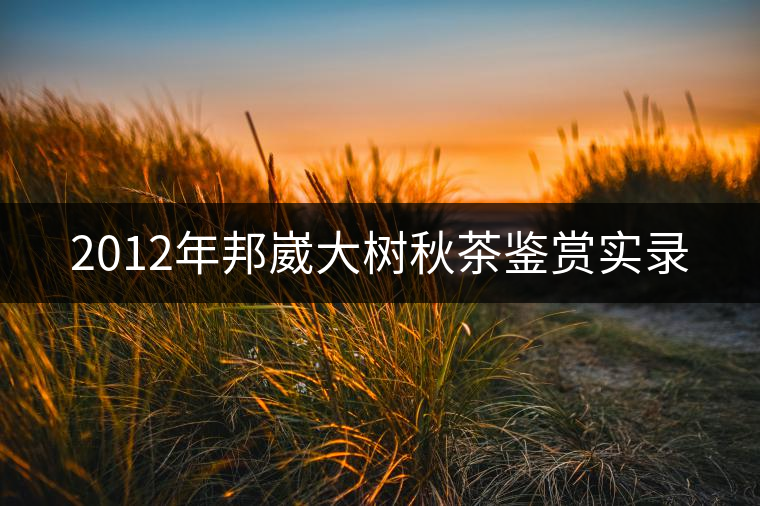 2012年邦崴大樹秋茶鑒賞實錄