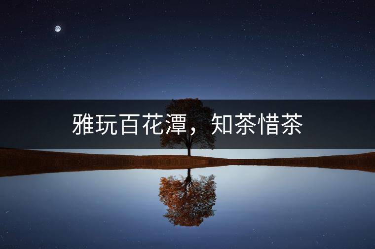 雅玩百花潭，知茶惜茶