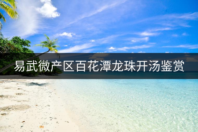 易武微產(chǎn)區(qū)百花潭龍珠開(kāi)湯鑒賞