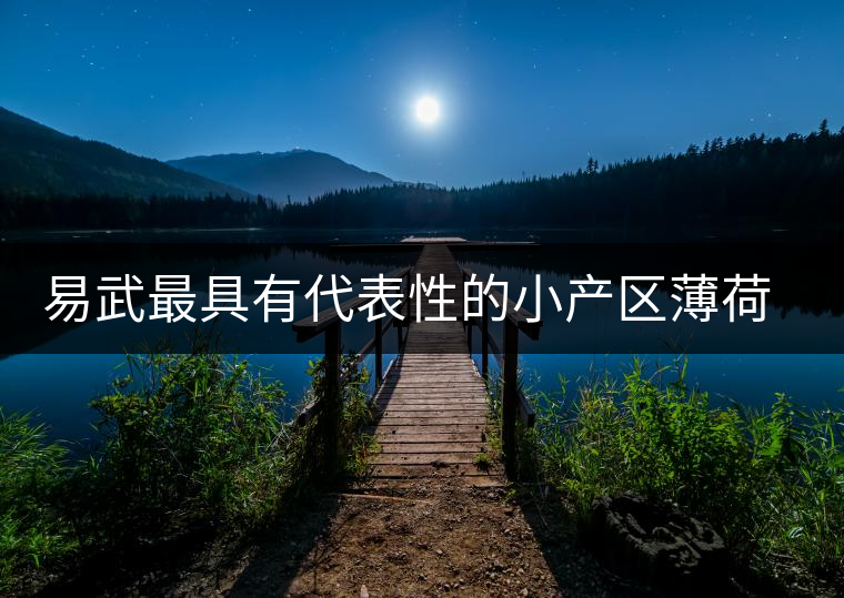 易武最具有代表性的小產(chǎn)區(qū)薄荷塘，一滴都不舍得浪費