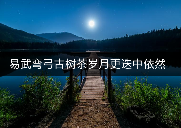 易武彎弓古樹茶歲月更迭中依然燦爛的夜明珠