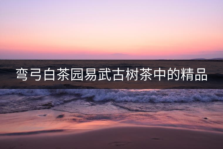 彎弓白茶園易武古樹茶中的精品