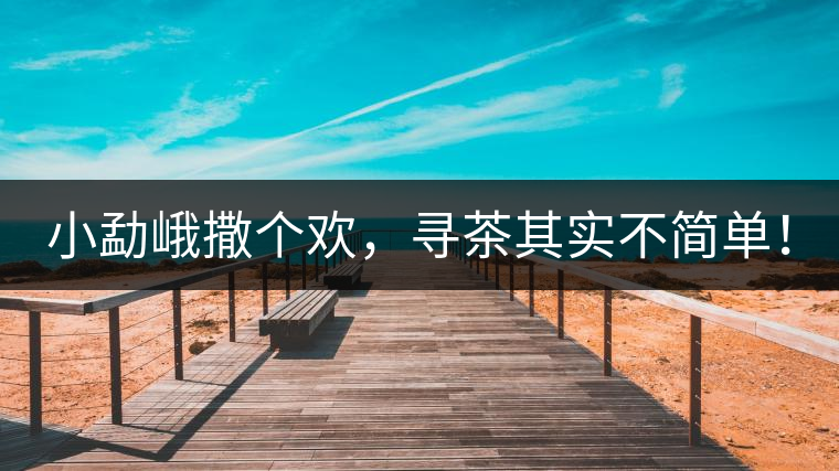 小勐峨撒個歡，尋茶其實不簡單！