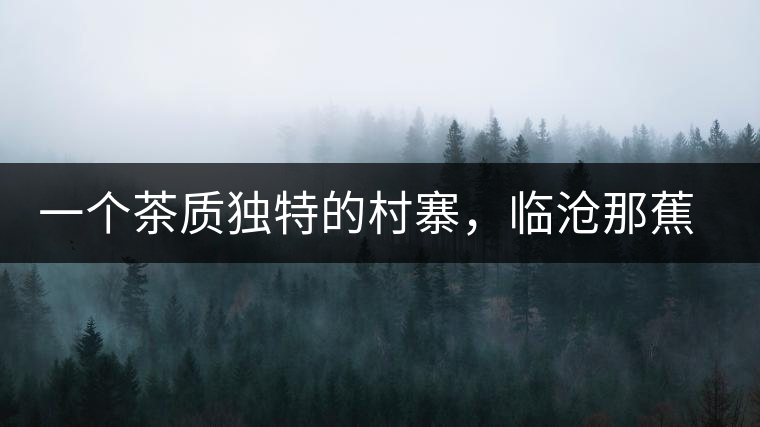 一個(gè)茶質(zhì)獨(dú)特的村寨，臨滄那蕉古樹(shù)茶介紹