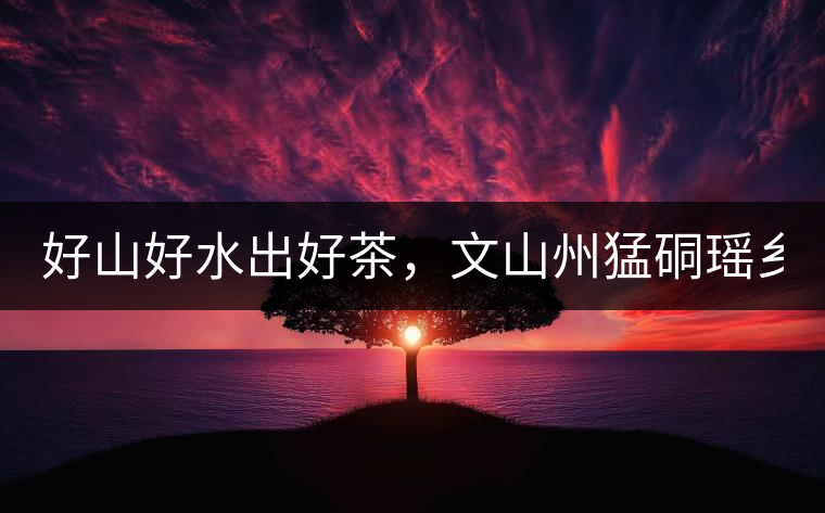 好山好水出好茶，文山州猛硐瑤鄉(xiāng)茶！