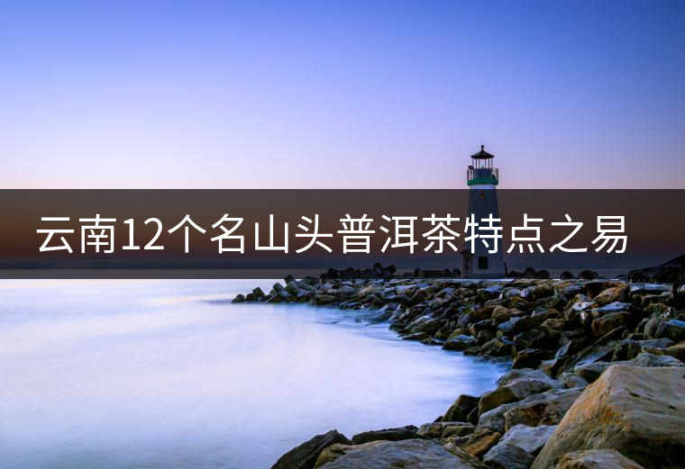 云南12個名山頭普洱茶特點之易武篇