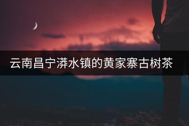 云南昌寧漭水鎮(zhèn)的黃家寨古樹(shù)茶特點(diǎn)介紹 云南昌寧漭水鎮(zhèn)的黃家寨古樹(shù)茶特點(diǎn)介紹