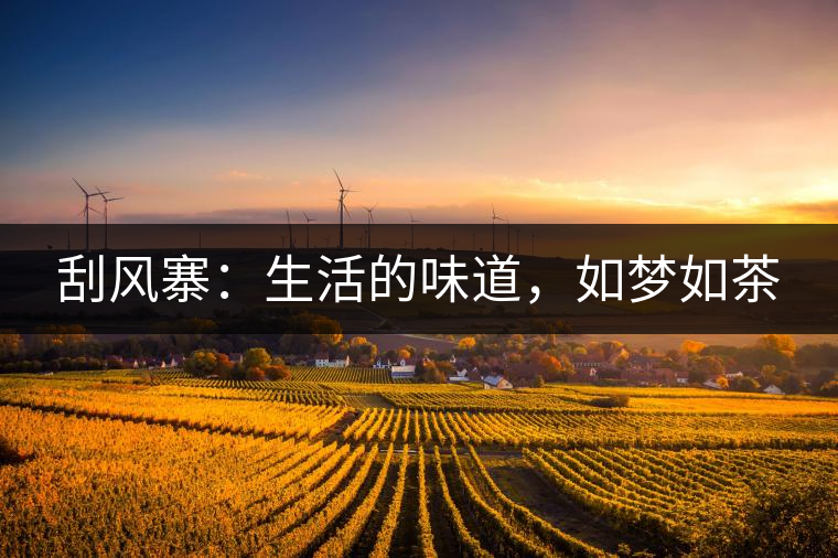 刮風(fēng)寨：生活的味道，如夢(mèng)如茶