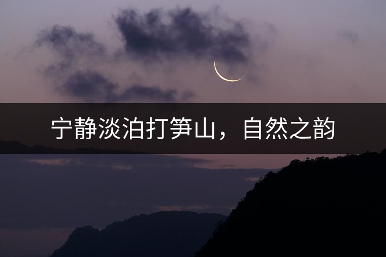 寧靜淡泊打筍山，自然之韻