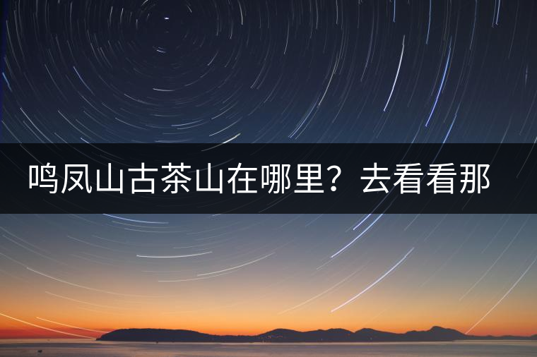 鳴鳳山古茶山在哪里？去看看那鳳凰曾經(jīng)落腳的地方