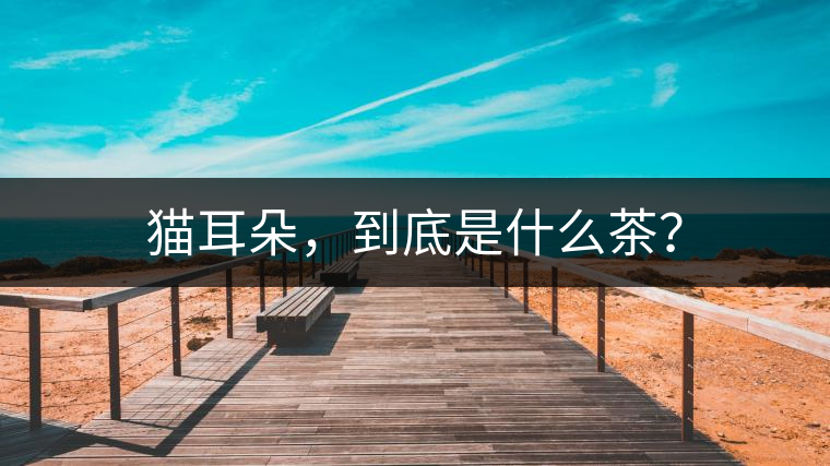 貓耳朵，到底是什么茶？