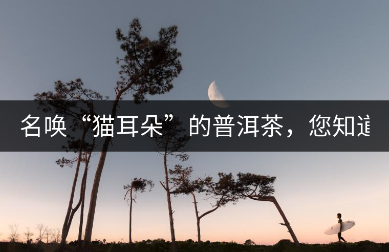 名喚“貓耳朵”的普洱茶，您知道嗎、