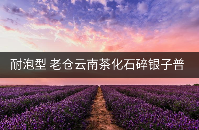 耐泡型 老倉(cāng)云南茶化石碎銀子普洱熟茶糯米香茶老茶頭散茶葉250g