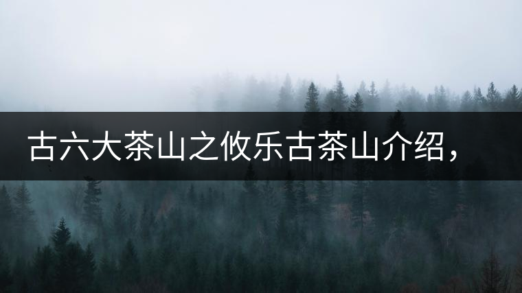 古六大茶山之攸樂(lè)古茶山介紹，攸樂(lè)古樹(shù)茶口感特點(diǎn)