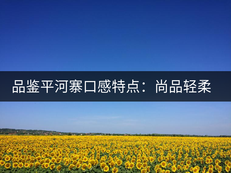 品鑒平河寨口感特點(diǎn)：尚品輕柔，清涼獨(dú)特