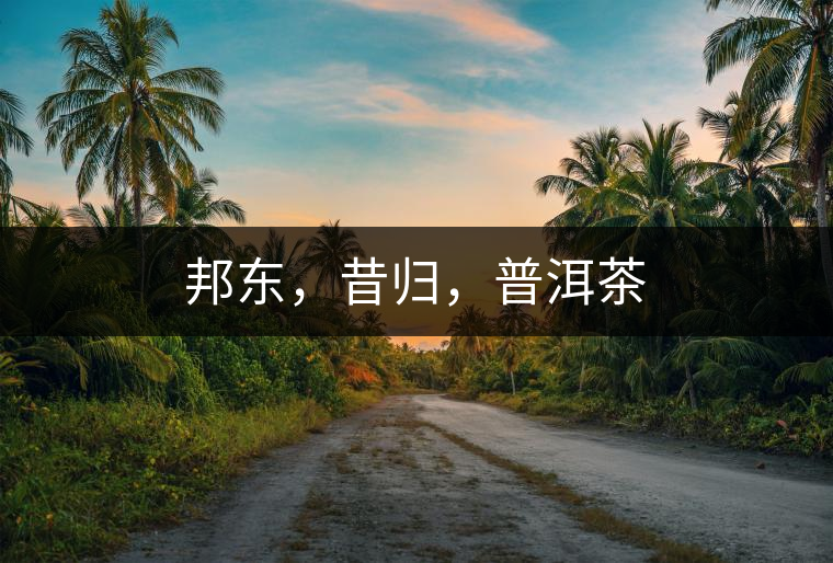 邦東，昔歸，普洱茶