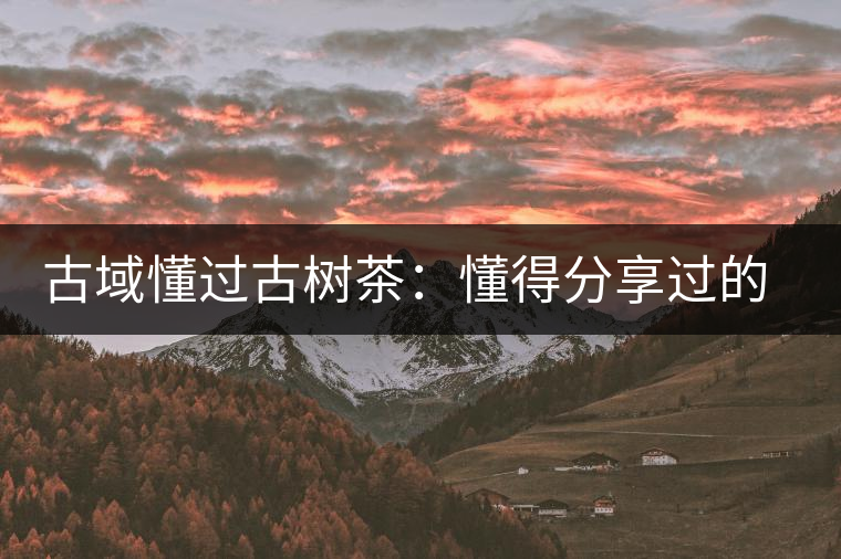 古域懂過古樹茶：懂得分享過的快樂，方為懂過