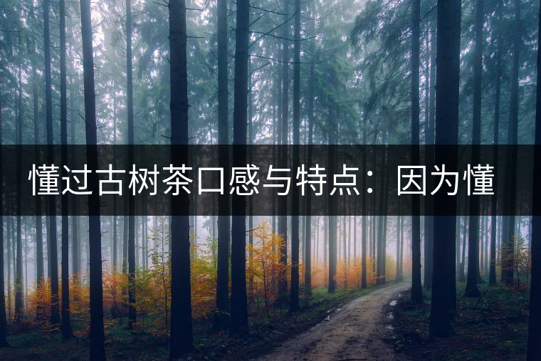 懂過古樹茶口感與特點：因為懂得，所以舍得用余生來珍惜！