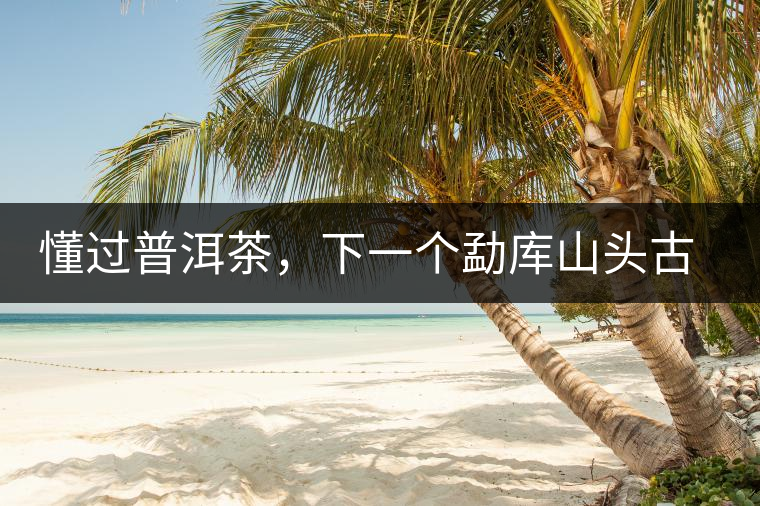 懂過普洱茶，下一個(gè)勐庫山頭古純的引爆點(diǎn)