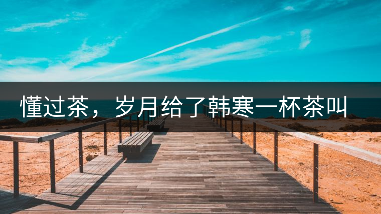 懂過茶，歲月給了韓寒一杯茶叫懂過