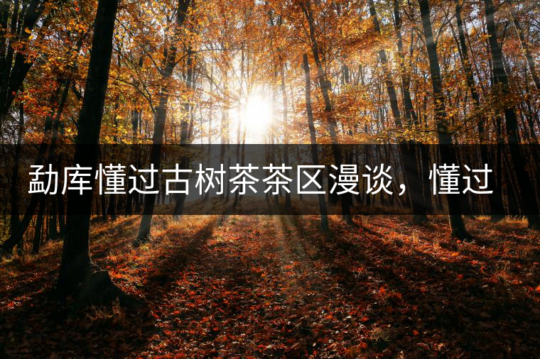 勐庫懂過古樹茶茶區(qū)漫談，懂過古樹茶的特點(diǎn)