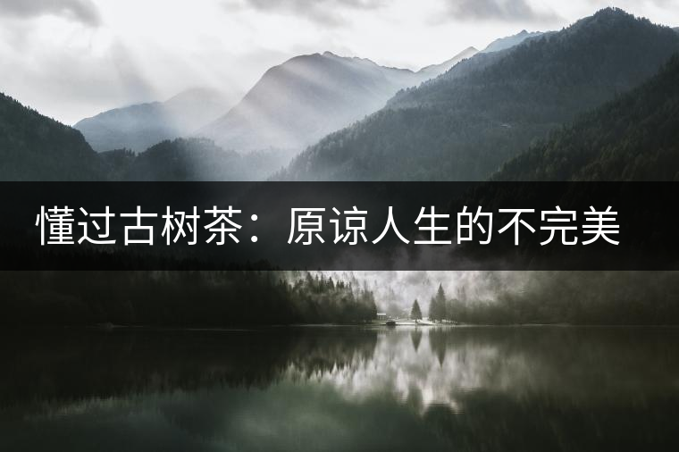 懂過古樹茶：原諒人生的不完美，多一次心靈的回歸！
