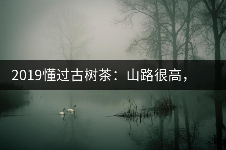 2019懂過古樹茶：山路很高，可仍然有執(zhí)著走向深山的人