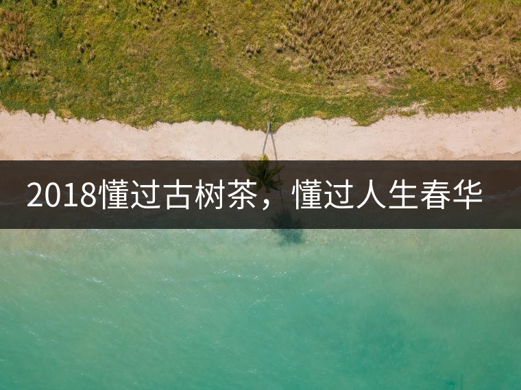 2018懂過古樹茶，懂過人生春華秋實(shí)！