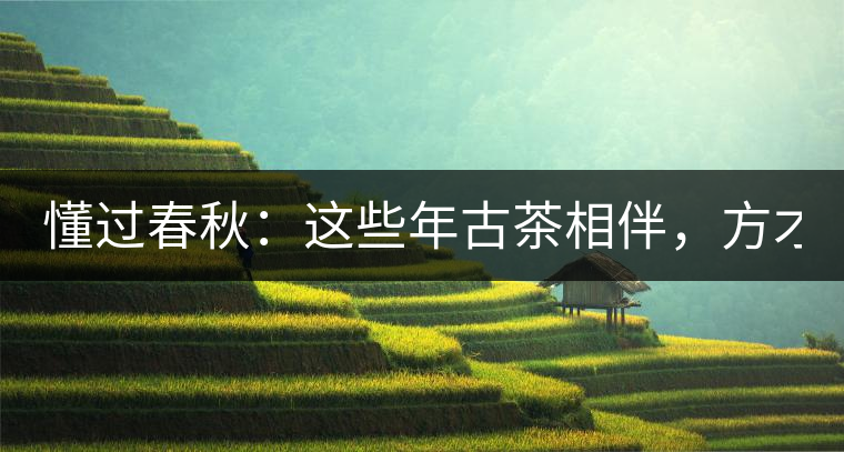 懂過春秋：這些年古茶相伴，方才懂過！