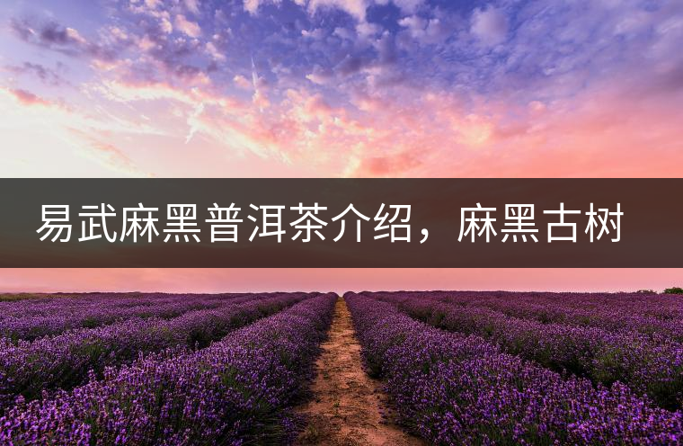 易武麻黑普洱茶介紹，麻黑古樹(shù)茶口感特點(diǎn)