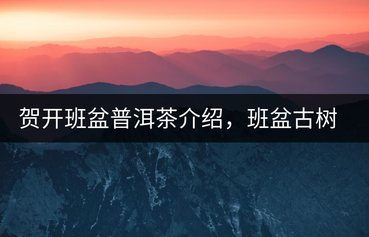 賀開班盆普洱茶介紹，班盆古樹茶口感特點