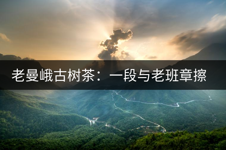 老曼峨古樹茶:一段與老班章擦肩而過的緣分 老曼峨古樹茶:一段與老班章擦肩而過的緣分