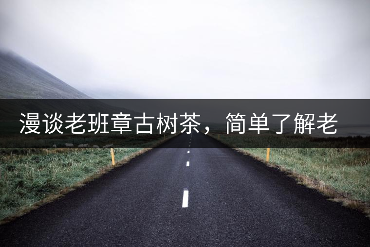 漫談老班章古樹茶，簡單了解老班章普洱茶