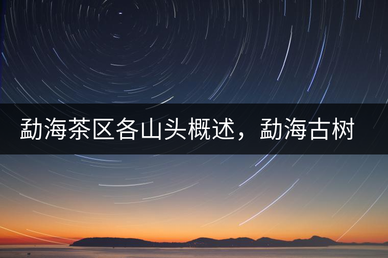 勐海茶區(qū)各山頭概述，勐海古樹茶口感特點