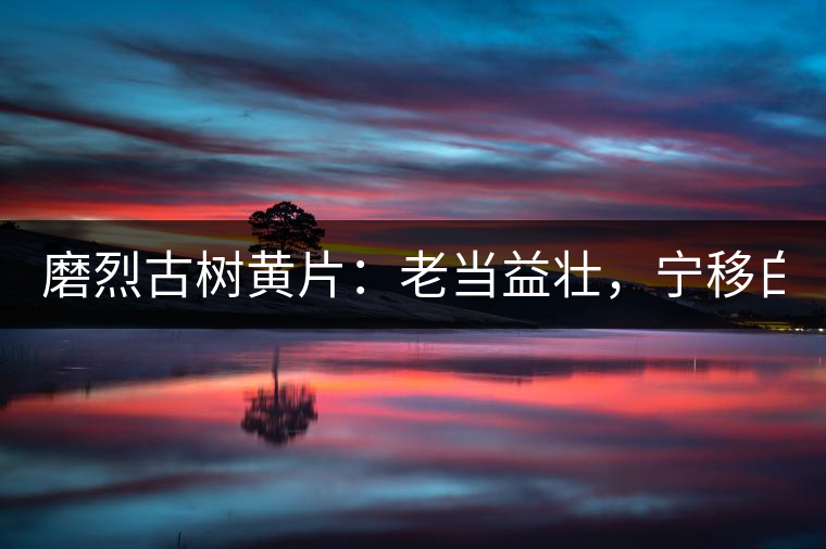 磨烈古樹黃片：老當(dāng)益壯，寧移白首之心！