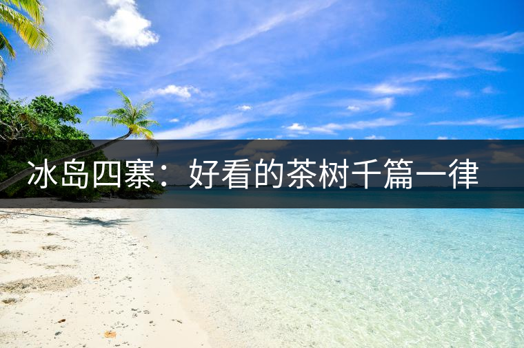 冰島四寨：好看的茶樹千篇一律，有趣的風(fēng)景萬里