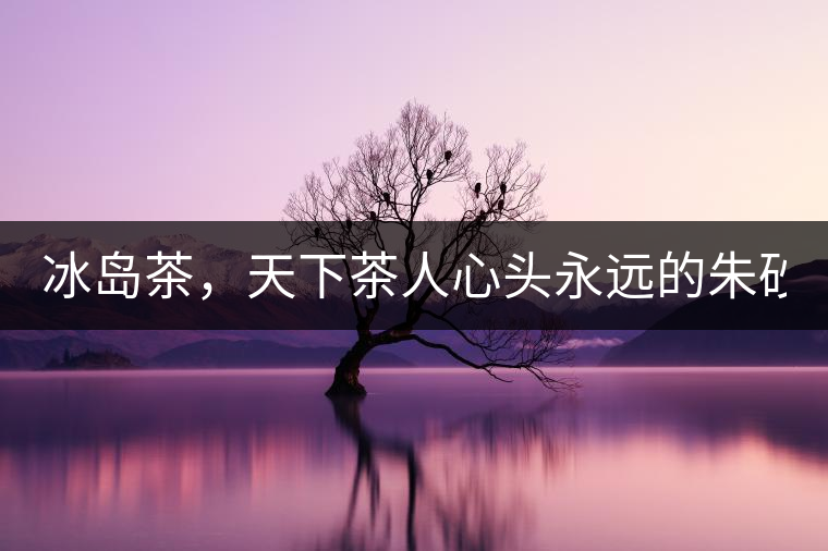 冰島茶，天下茶人心頭永遠的朱砂痣！