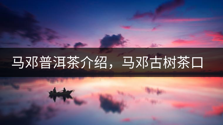 馬鄧普洱茶介紹，馬鄧古樹茶口感特點(diǎn)