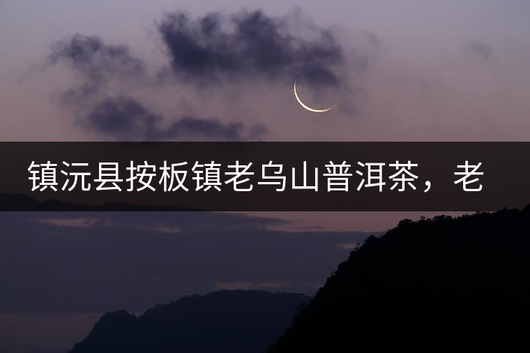 鎮(zhèn)沅縣按板鎮(zhèn)老烏山普洱茶，老烏山古樹茶口感特點(diǎn)