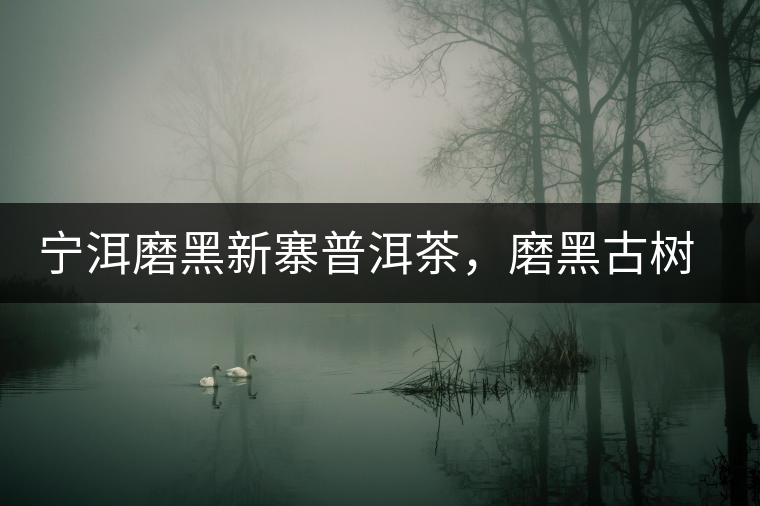 寧洱磨黑新寨普洱茶，磨黑古樹茶口感特點(diǎn)