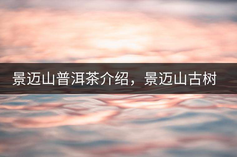 景邁山普洱茶介紹，景邁山古樹茶口感特點